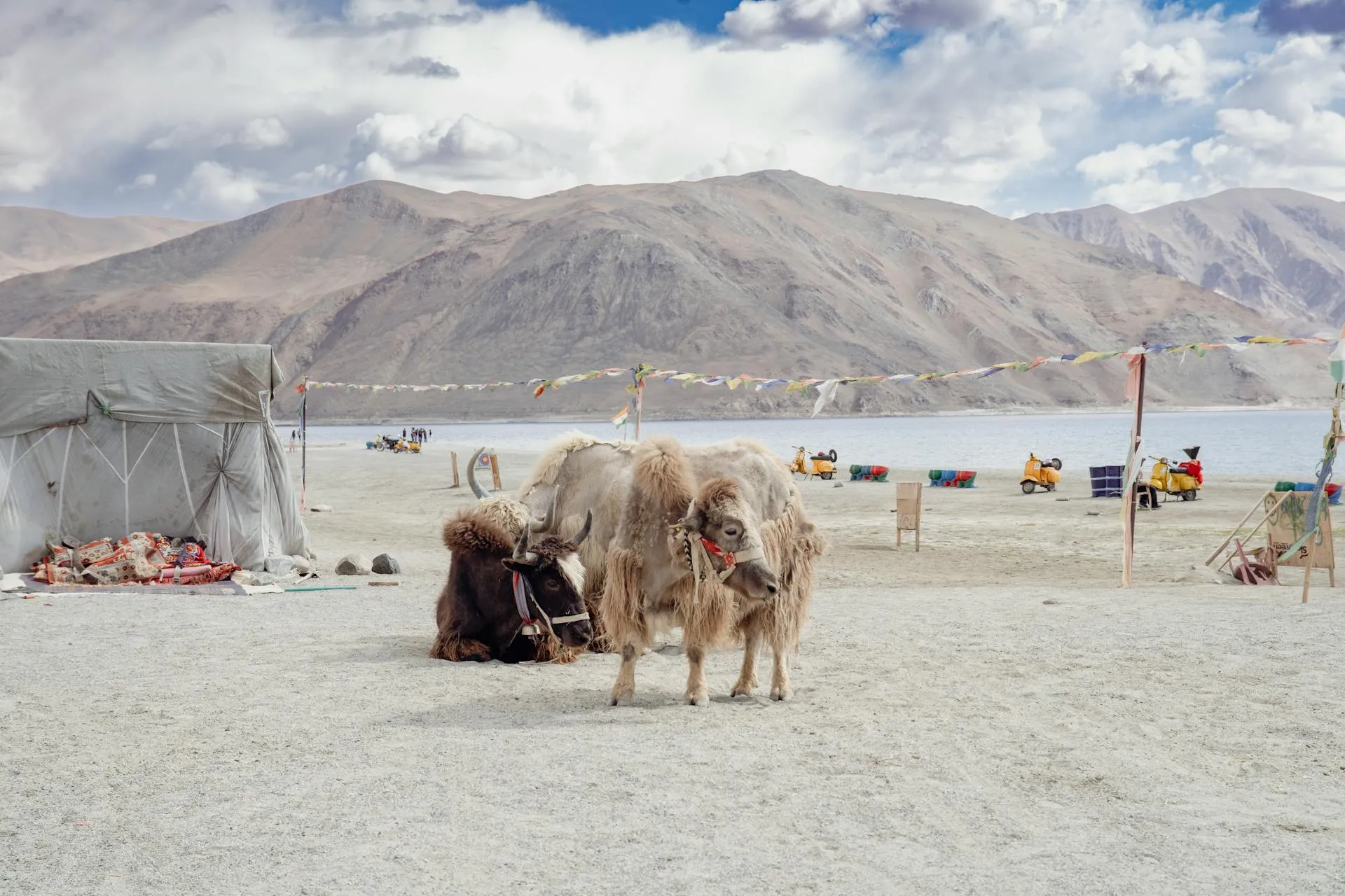 Ladakh Lake