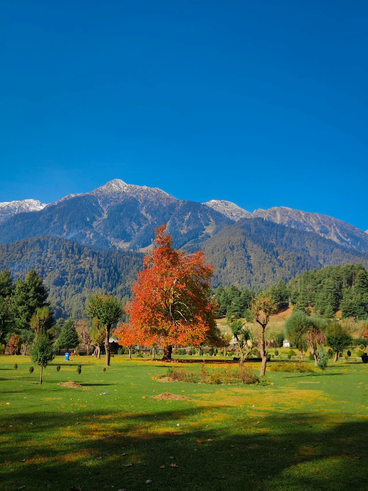 Kashmir