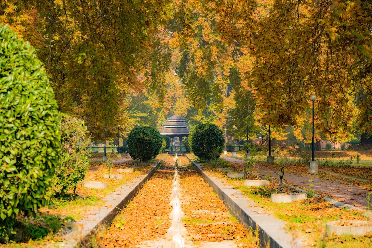 Kashmir
